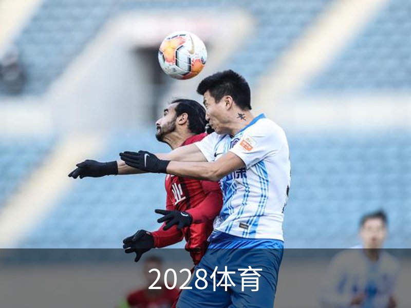 2028体育简介